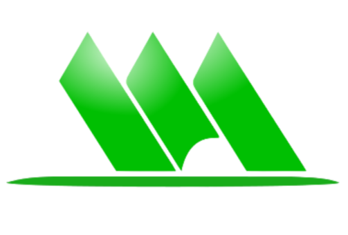 VSM Corporation